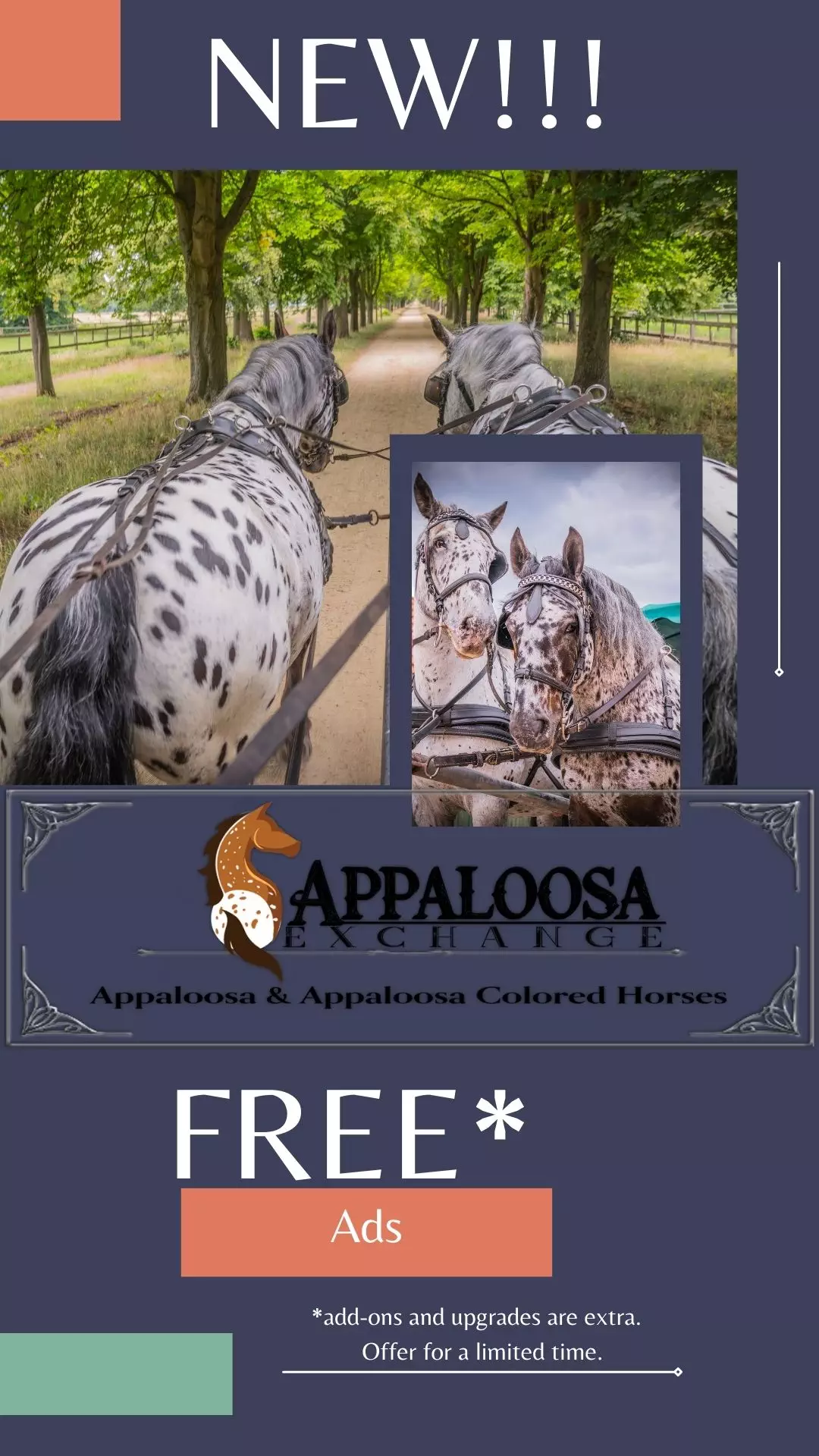 New Offer 2022 Free New Offer 2022 Free