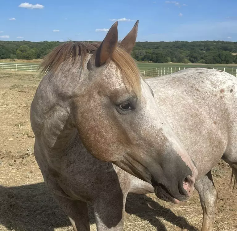 12F9D4EC-9D3E-4C26-8F62-A6DD79E2A648