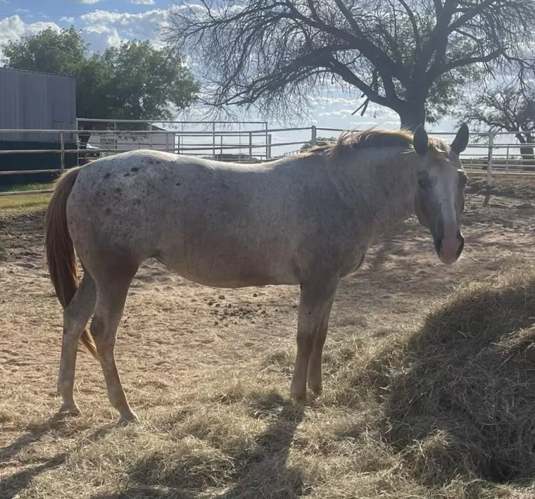 BD85ACC9-2D1D-46AD-9D85-A73CE9E4324F