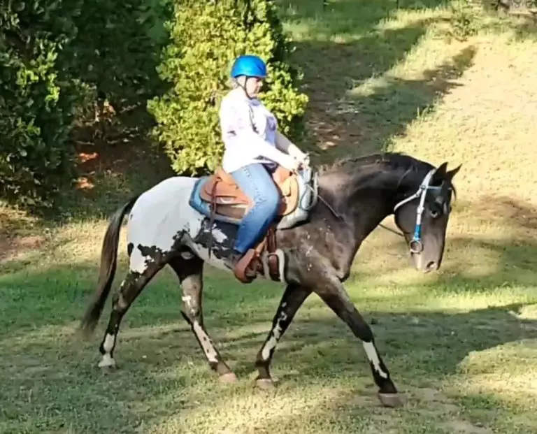 VideoCapture_20240514-213630