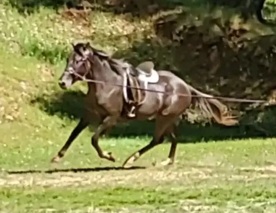 VideoCapture_20240511-165344