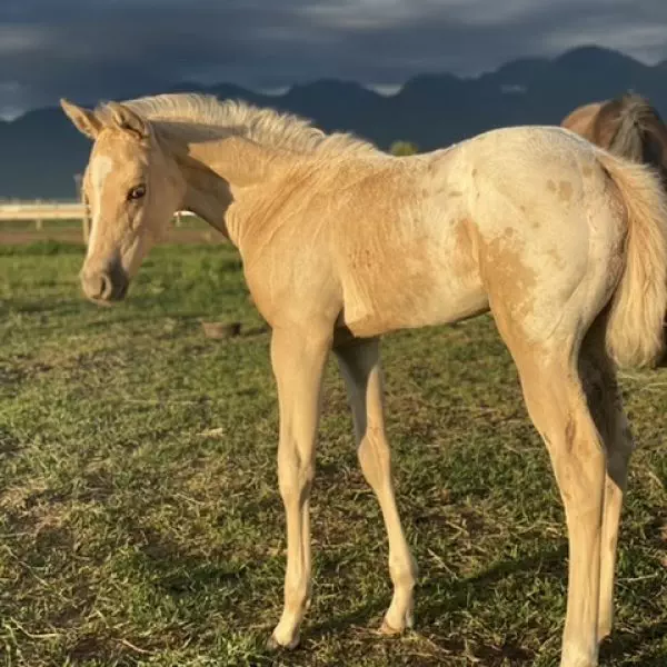 6E0ADF74-6661-4121-9A13-964863FE97FD