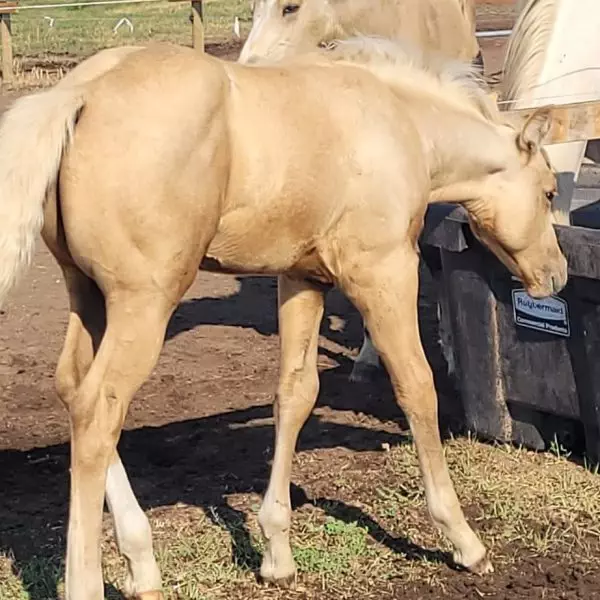 0EADC1FC-894D-47A2-8AD0-4839C2E2130D