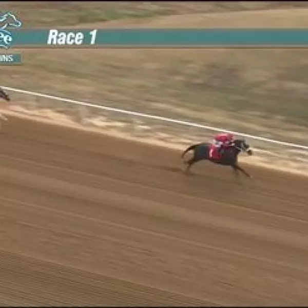 Ivorys20F-MARFIL-Winning101622
