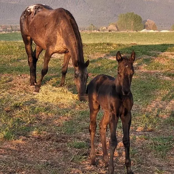 57807C0F-0ED8-453E-81F7-C32149C94930