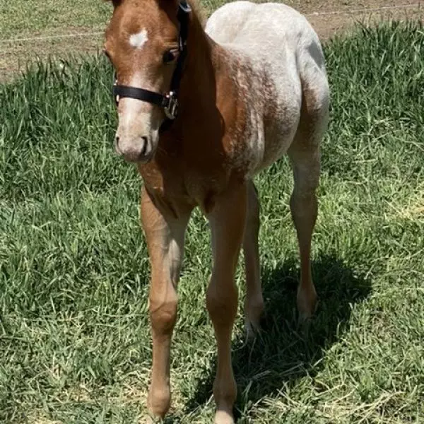 302A0494-368C-4E40-A852-C6E7CD0C5C93