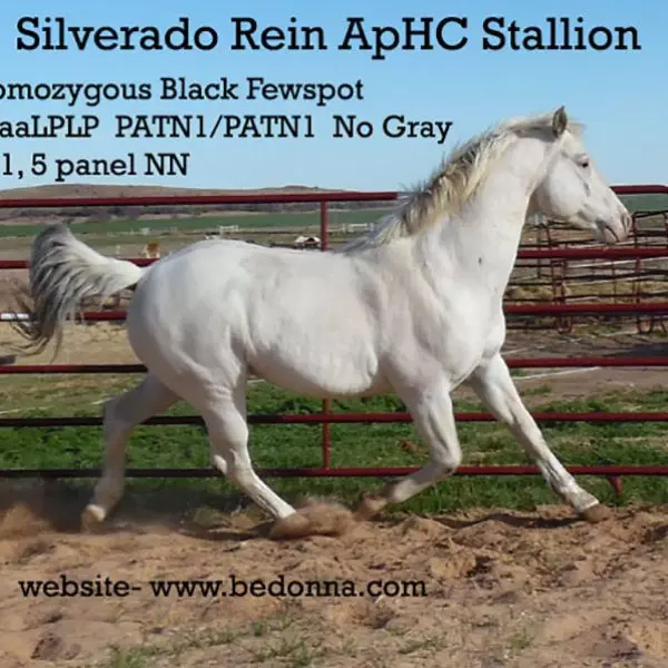 1Silverado30316RSet-Text