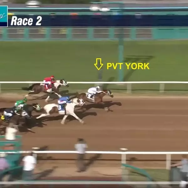 Ivory-PvtYork