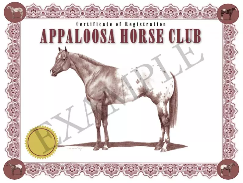 ApHCRegistrationCertificate