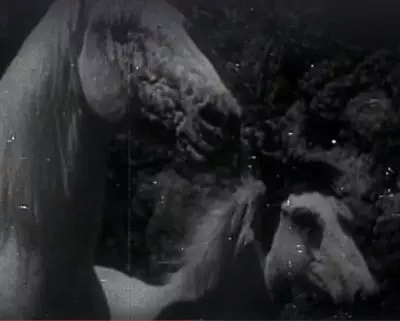 thefightingstallion1950-01